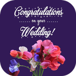 wedding congratulations icon