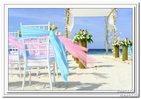 1 Schermata Wedding Decoration Outdoor