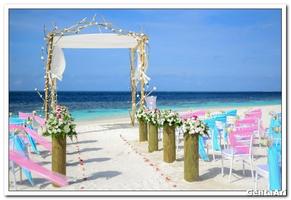 برنامه‌نما Wedding Decoration Outdoor عکس از صفحه