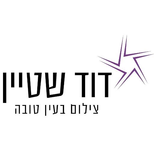 דוד שטיין