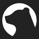 Dovi Rhein APK