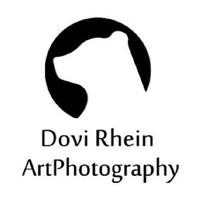 Dovi Rhein-poster