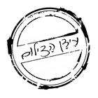 עידן הצילום-icoon