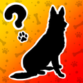 Anydog
