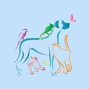 City Vet APK