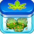 Weed Shop Tycoon