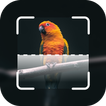 Bird Identifier: Bird Watching
