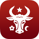 Moldovenii APK