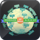 Domain and DNS info (DNS,Domain & IP Lookup) APK