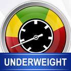 Weight Gain Diet Plan & Foods ikon