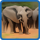 KENYA BRAIN IQ APK