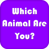 Which Animal Are You