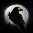 Night Crow ícone