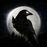 Night Crow APK
