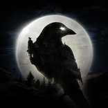 ”NIGHT CROWS