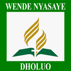 Wende Nyasaye icône