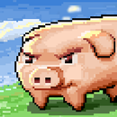 Run Pig aplikacja