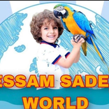 Wessam Sadeem world