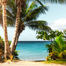 Ocean & Beaches Wallpapers APK