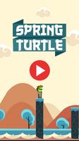 Spring Turtle Affiche