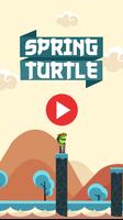 Spring Turtle Cartaz