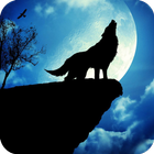 Wolf Wallpaper آئیکن