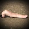 Evolution: fingers APK