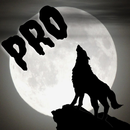 Chercheur de loup-garou Pro APK