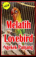 Melatih Lovebird Ngekek Panjang. gönderen