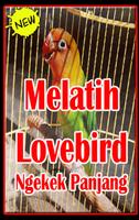 Poster Melatih Lovebird Ngekek Panjang.