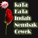 Kata Indah Nembak Cewek Idaman.-APK