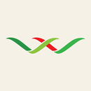 WFF APK