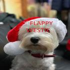 Flying Westie ikona