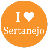 Top Sertanejo - Melhor do Sertanejo Universitário icono