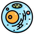 3D Cytology APK