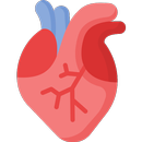 3D Human Anatomy APK