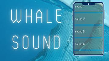 Whale Sounds capture d'écran 2