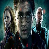 Poster puzzle harry potter
