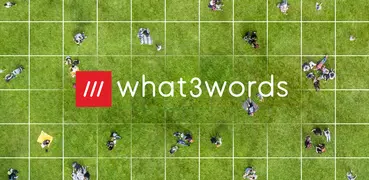 what3words: これでもう道に迷わない