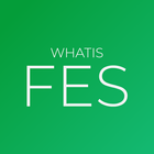WhatisFES 아이콘