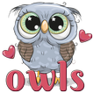 WAStickerApps - Owls