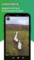 Статусы WhatsApp - сохранить статусы из ватсап screenshot 3
