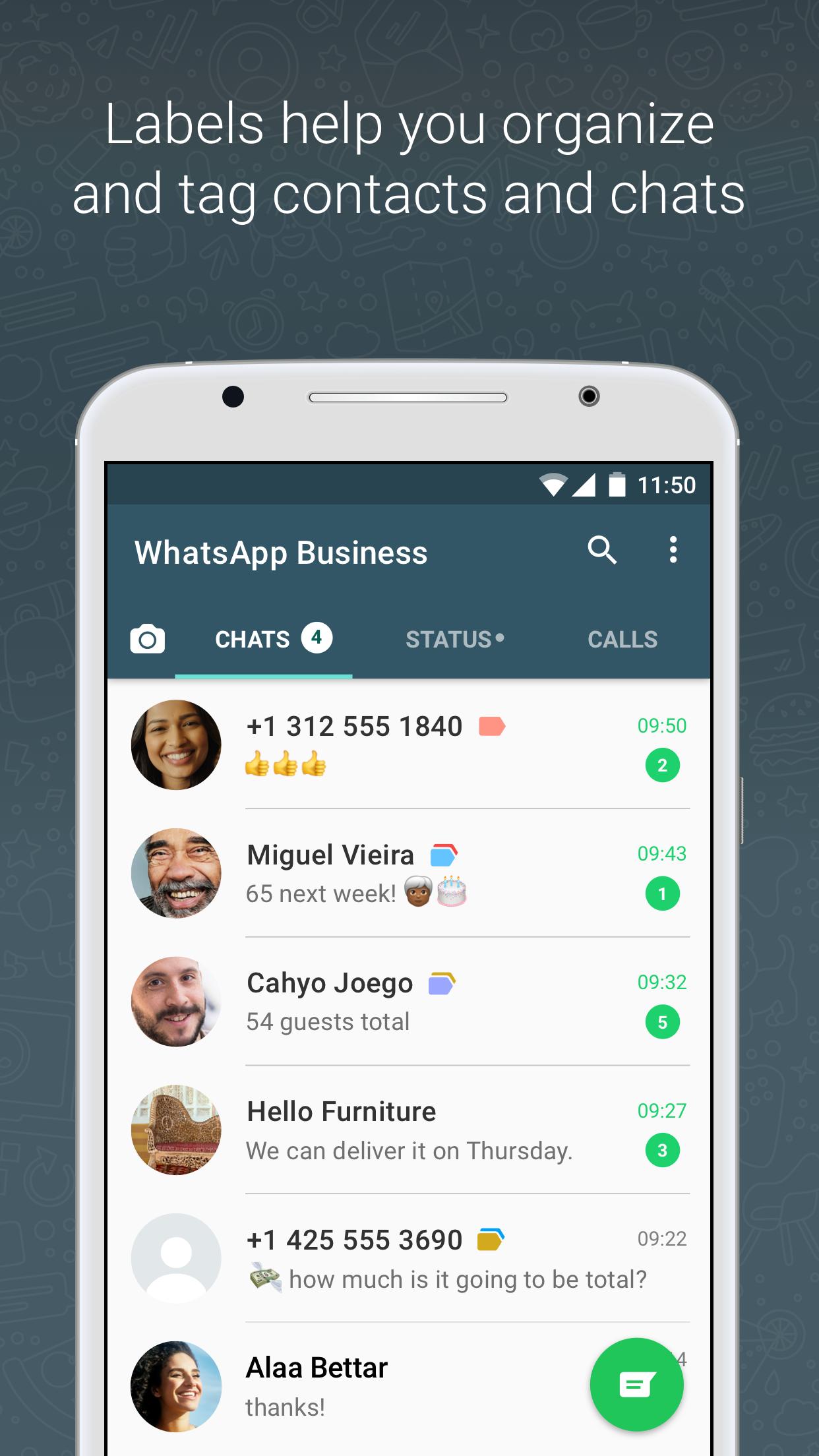 whatsapp business apk