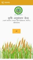 Wheat Ganganagar Affiche