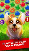 Pets Story Puzzle-poster