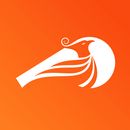 Phoenix Whistleblowing APK