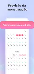 Baixar Calendário ciclo menstrual XAPK