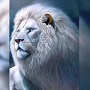 White Lion Wallpaper APK