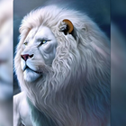 White Lion Wallpaper icône