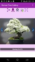 Bonsai Tree Gallery ภาพหน้าจอ 3